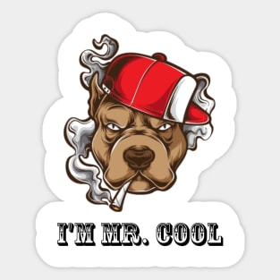 I'm Mr.cool Sticker